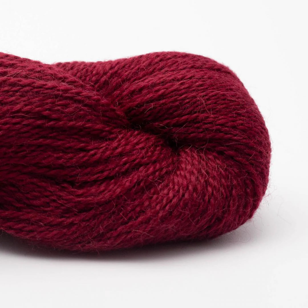 Baby Alpaca – RAS
