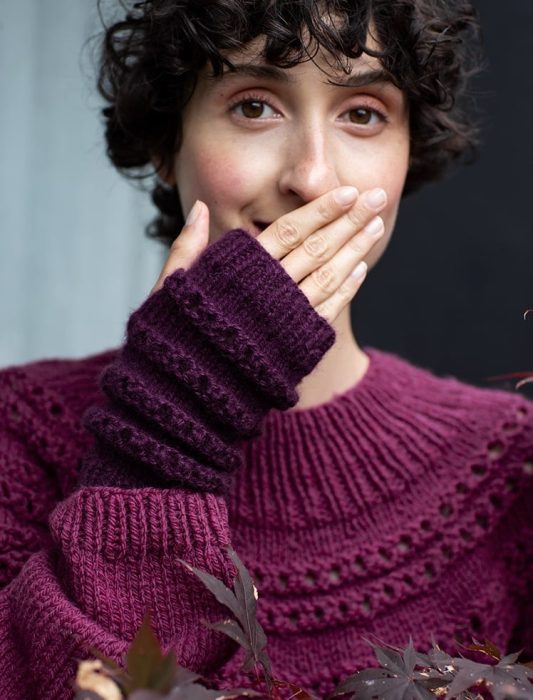 Catalogue Plassard - Spécial Sans Couture n° 191 - LA BELLE LAINE