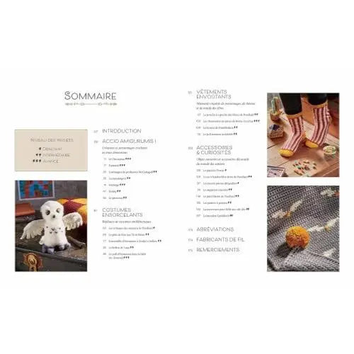 HARRY POTTER - LA MAGIE DU CROCHET - 24 modèles