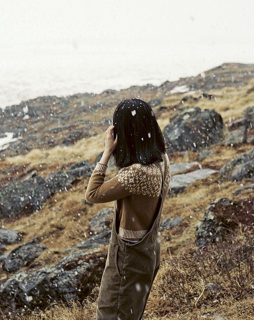 Le Tricot du Grand Froid par Weichien Chan