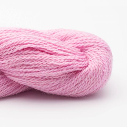 Baby Alpaca – RAS