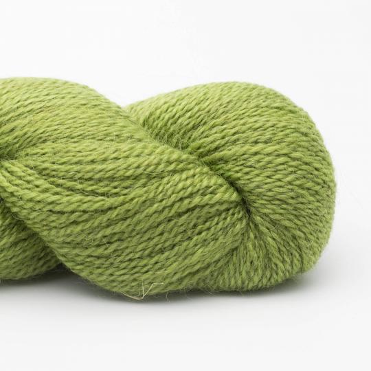 Baby Alpaca – RAS