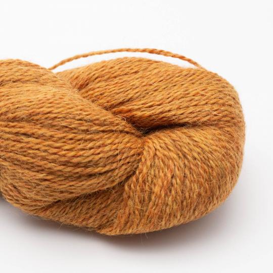 Baby Alpaca – RAS