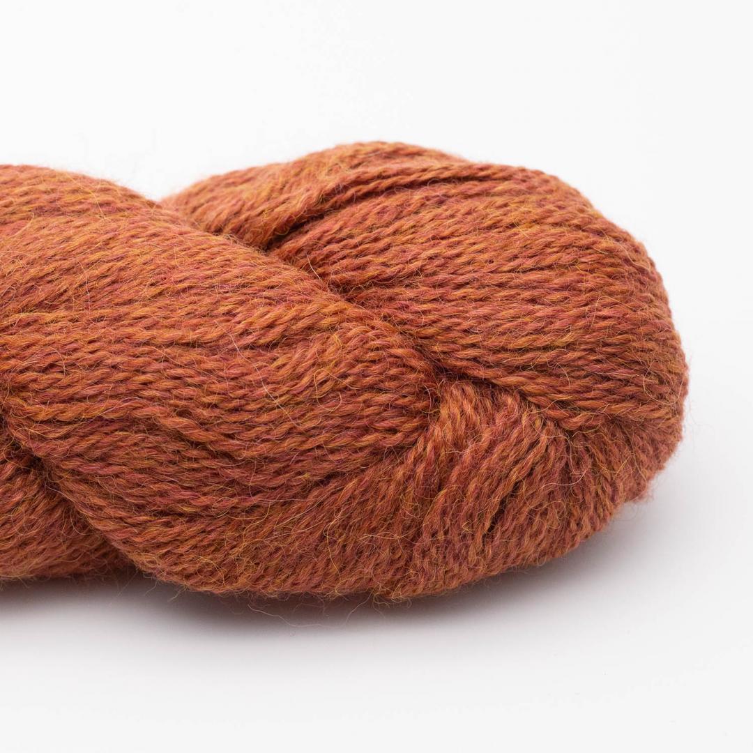 Baby Alpaca – RAS