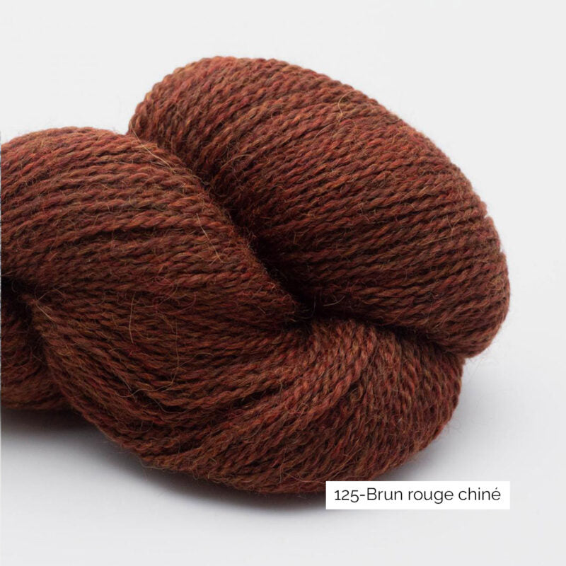 Baby Alpaca – RAS