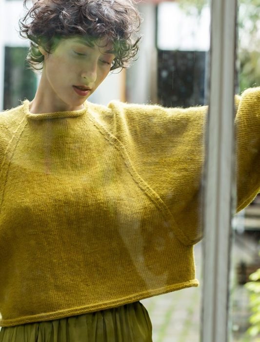 Catalogue Plassard - Spécial Sans Couture n° 191 - LA BELLE LAINE