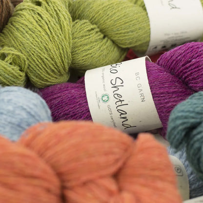 BC Garn Bio Shetland – Fil 100% laine bio - GOTS