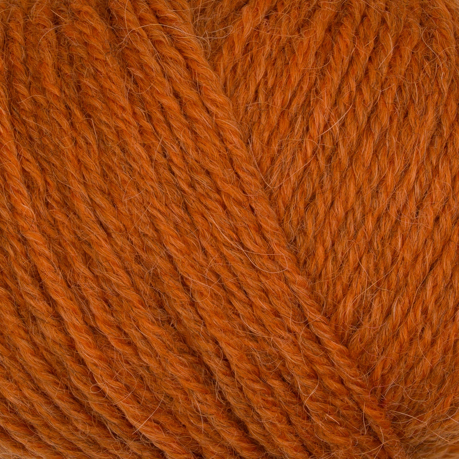 Pura Lana – Fil doux et chaud en laine et alpaga