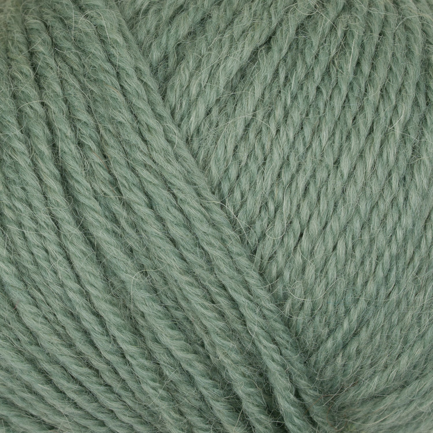 Pura Lana – Fil doux et chaud en laine et alpaga