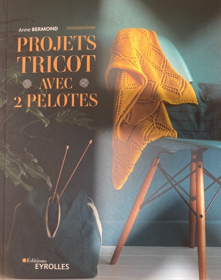 Projets tricots avec 2 pelotes - Anne Bermond