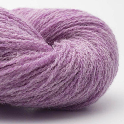 BC Garn Bio Shetland – Fil 100% laine bio - GOTS