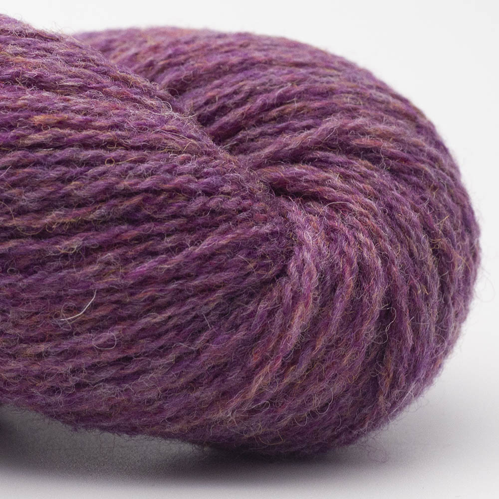 BC Garn Bio Shetland – Fil 100% laine bio - GOTS