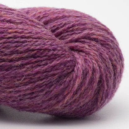 BC Garn Bio Shetland – Fil 100% laine bio - GOTS