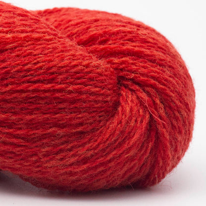 BC Garn Bio Shetland – Fil 100% laine bio - GOTS