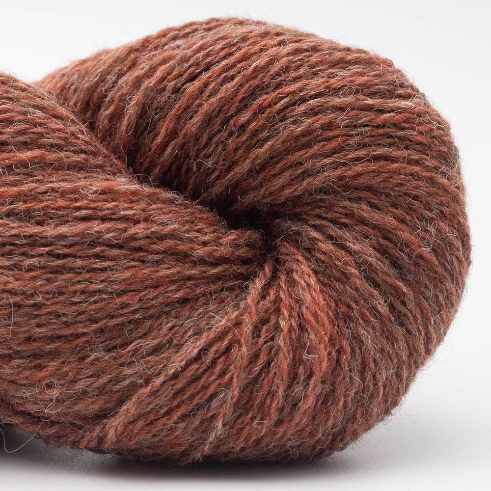 BC Garn Bio Shetland – Fil 100% laine bio - GOTS